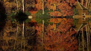 Siete bosques mágicos que visitar este otoño sin salir de España