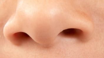 ¿Por qué la enfermedad Covid-19 nos hace perder el olfato y el gusto?