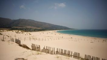 Estupor en una playa de Alicante al salir un jabalí del mar y morder a una sexagenaria