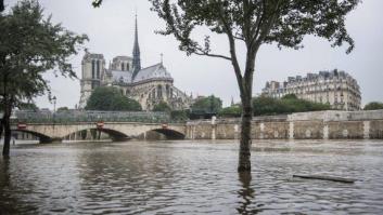 El Louvre cierra para poner a salvo de inundaciones las obras de arte de sus almacenes