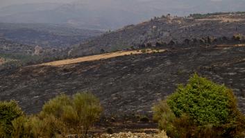 El incendio de Ávila evoluciona de forma favorable tras arder más de mil hectáreas