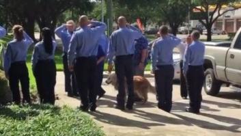 El emotivo adiós al último perro de rescate del 11-S que quedaba vivo (VÍDEO)