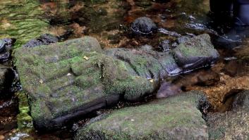 Un pescador gallego se lleva la sorpresa de su vida: encuentra una escultura gótica en el río