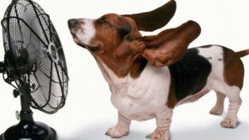 Sin aire acondicionado: diez trucos para mantener tu casa fresca