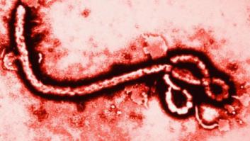 Las razones por las que se ha activado el protocolo por ébola en Alicante