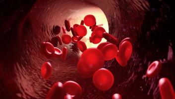 Las dos mutaciones en la hemoglobina que hicieron posible nuestra existencia