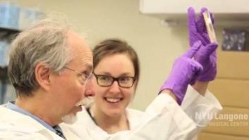 Primer "cromosoma de diseño" de levadura: más cerca de alimentos, vacunas y combustibles con genes artificiales