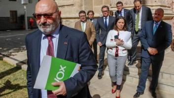 Vox no apoyará en Andalucía la declaración institucional sobre violencia de género