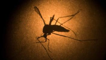 Consejos de salud para prevenir el virus del Zika en las Olimpiadas