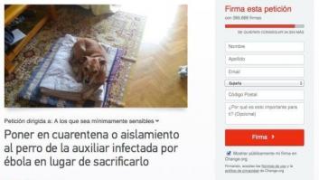 Excálibur: llegan los responsables sanitarios para llevarse y sacrificar al perro de la enferma de ébola