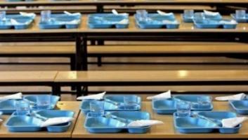 Encuentran restos de cucarachas y larvas en comedores escolares en Madrid y Castilla y León