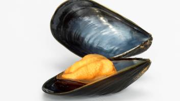 Alerta sanitaria por salmonella en unos mejillones de origen español