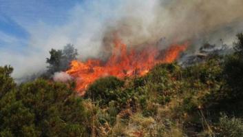 Las autoridades afirman que el incendio de Jerte ha sido intencionado