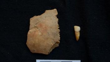 Hallan el diente y el parietal de un niño neandertal en Moià (Barcelona)