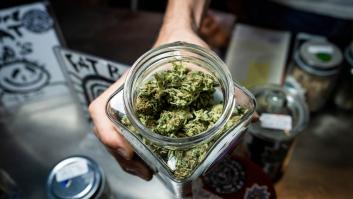 Alemania abre la vía a la legalización del cannabis