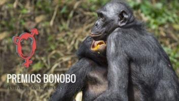 El festival de cine porno que pretende salvar a los bonobos