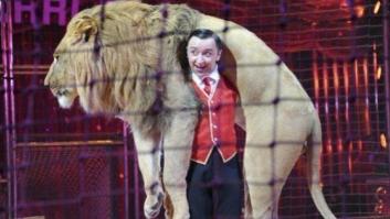Málaga prohibirá los circos con animales y las atracciones de ponis