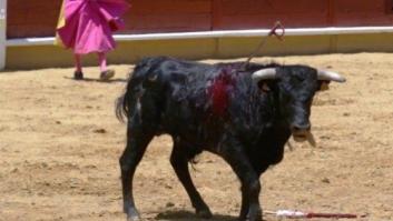 El Constitucional estudia negar a Cataluña las competencias para prohibir los toros