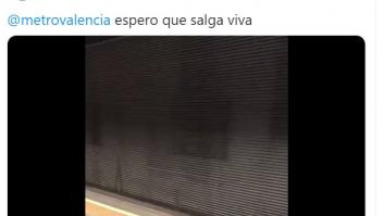 Sorpresa en Twitter con lo que apareció en las vías del metro de Valencia