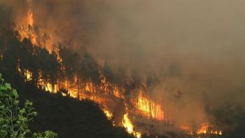 El fuego de Ribas de Sil (Lugo) arrasa ya casi 1.000 hectáreas