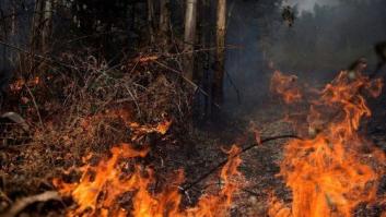 Detenido el jefe de voluntarios de Protección Civil en Cantabria por quemar el monte