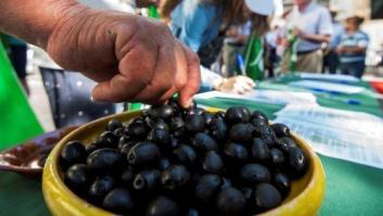 EEUU da un paso más para imponer aranceles sobre la aceituna negra española