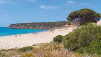 Cinco playas españolas, entre las mejores de Europa