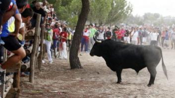 Marcha en Tordesillas para defender el torneo del Toro de la Vega