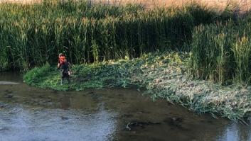 El Manzanares: ¿Es un río o un canal para remeros?