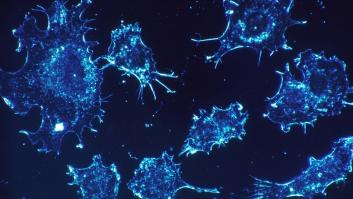 Cómo unas células sordas y manipuladoras originan el cáncer