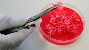Wuhan detecta coronavirus en envases de carne congelada importada de Brasil