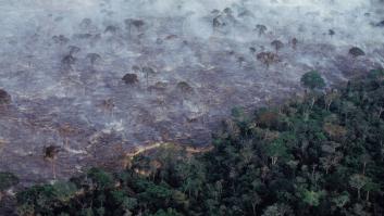 Los incendios en la Amazonia son reales, pero algunas fotos, no