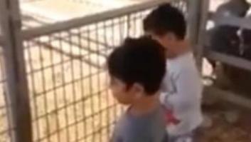 El truco escondido tras el vídeo que seguro que has recibido del niño y la cabra
