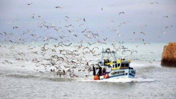 Pesca sostenible: ¿la única alternativa?