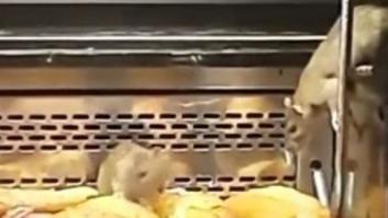 La panadería Granier atribuye a un error humano la presencia de ratas en su mostrador
