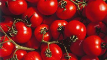 Crean tomates editados genéticamente con tanta vitamina D como dos huevos