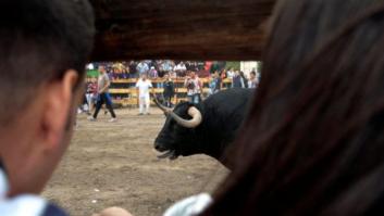 El Constitucional avala por unanimidad la prohibición de matar al Toro de la Vega