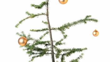 El truco para que el árbol de Navidad no tenga calvas