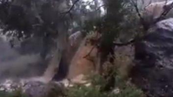 La pasmosa entereza de este hombre golpeado por un árbol cuando graba las lluvias en Murcia