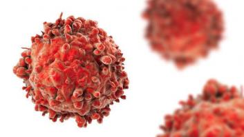 Un grupo de científicos españoles ha descifrado el epigenoma de la leucemia
