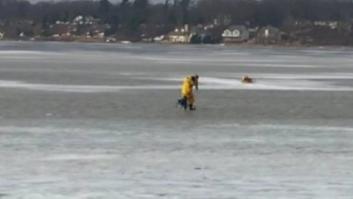 El agónico rescate de este perro que cayó a un lago helado (VIDEO)