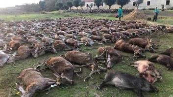 Indignación en Portugal por una montería de cazadores españoles que masacraron a 540 animales