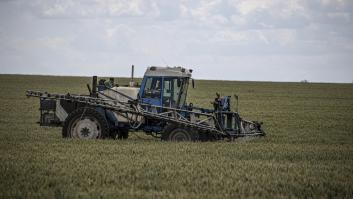 España liderará una iniciativa para sacar 8.000 toneladas de cereal ucraniano hasta puertos españoles