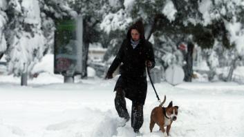 Cuánto frío puede soportar tu perro sin llevar ropa de abrigo