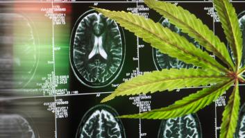 El Congreso activa la cuenta atrás del cannabis medicinal para finales de año