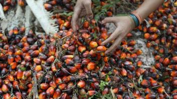 Los efectos negativos del aceite de palma van más allá de la salud