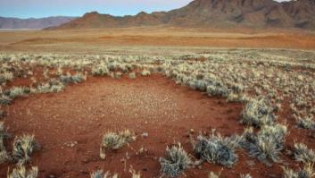 Una nueva hipótesis explica el misterio de los 'círculos de hadas' de Namibia