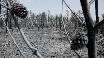 La lluvia frena el incendio forestal de Venta del Moro, que ya se cobra 1.300 hectáreas