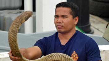 Un famoso encantador de serpientes muere por el mordisco de una cobra