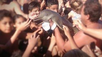 Turistas matan a un delfín tras sacarlo del mar para hacerse 'selfies'